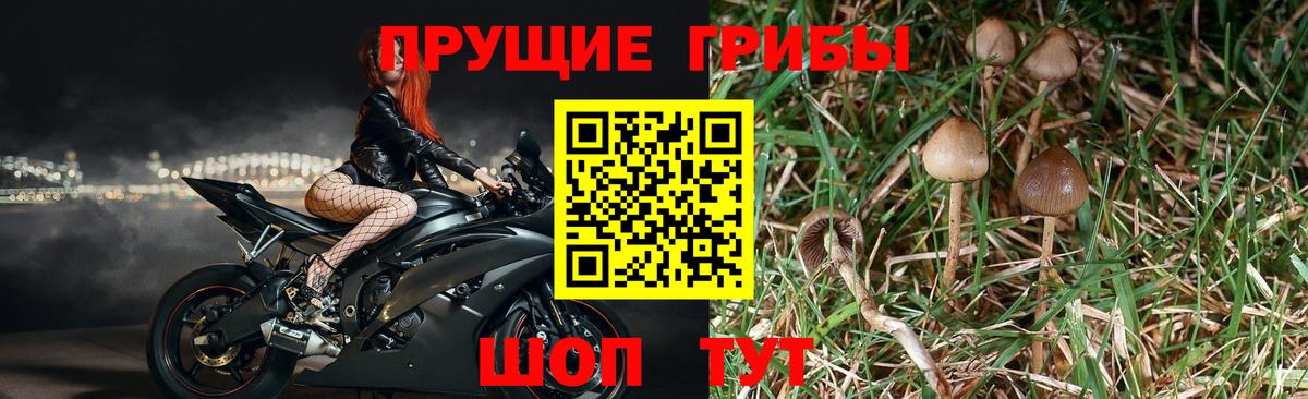 Галлюциногенные грибы MAGIC MUSHROOMS Реутов