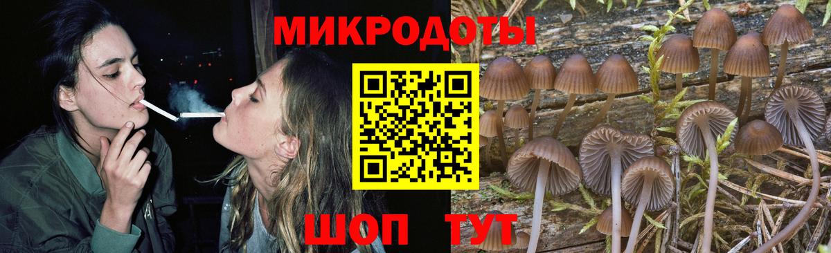 наркотики  Псилоцибиновые грибы GOLDEN TEACHER  Вход с VPN  Реутов  Псилоцибиновые грибы мухоморы 